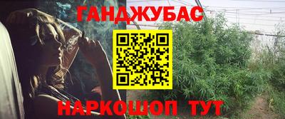 сатива Волжский