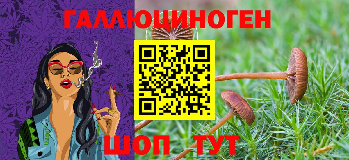 Псилоцибиновые грибы ЛСД Верхняя Салда