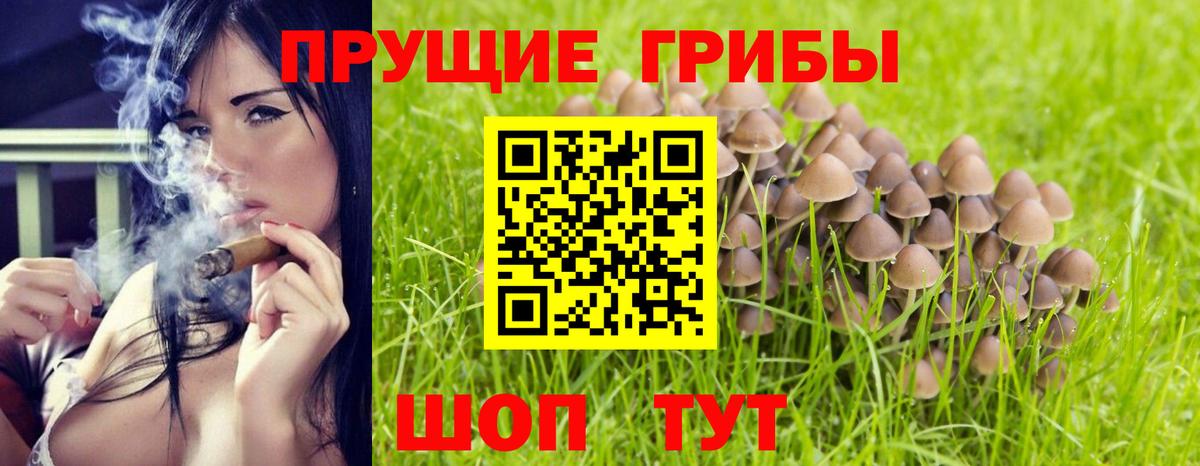 Галлюциногенные грибы MAGIC MUSHROOMS  Вход с VPN  Верхняя Салда 